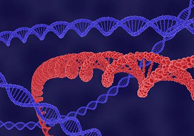 普健生物-盤點提升蛋白表達(dá)成功率的幾個方法