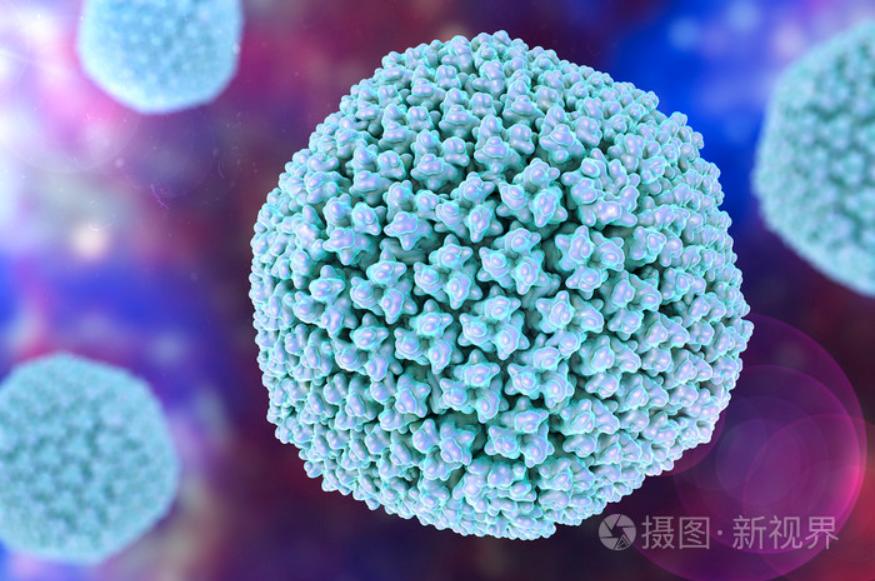 總被要求去內(nèi)毒，究竟是為什么？