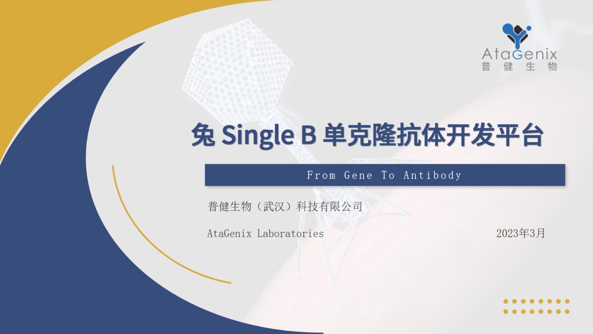 兔穎而出——Single B兔單克隆抗體開(kāi)發(fā)技術(shù)分享