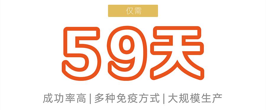 雜交瘤細(xì)胞開(kāi)發(fā)-鼠單克隆抗體僅需59天