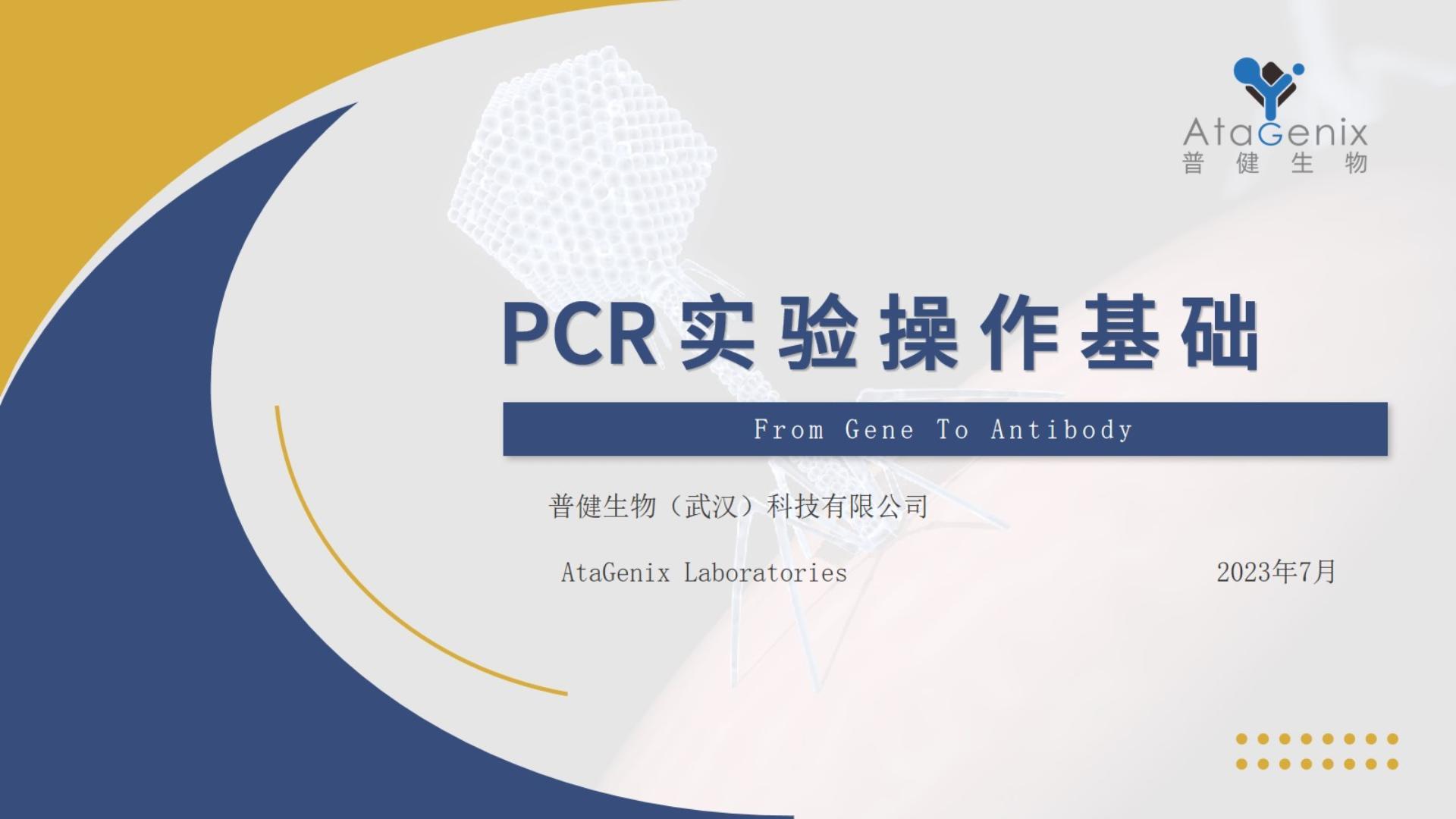 基礎試驗操作篇——PCR實驗