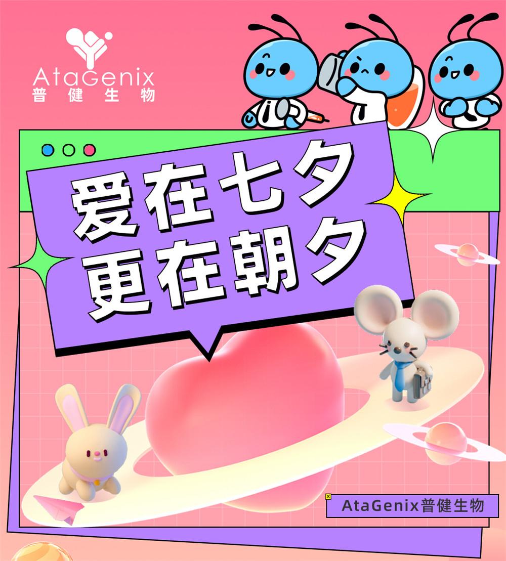 愛在七夕，更在朝夕
