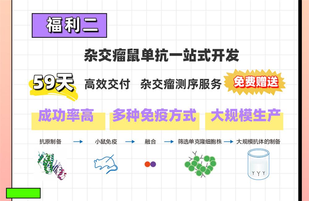愛在七夕，更在朝夕